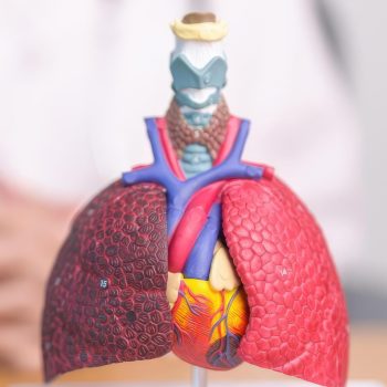 Pulmonology